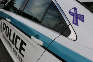 Domestic Violence Awareness Month ribbon displayed on Arlington Police vehicle